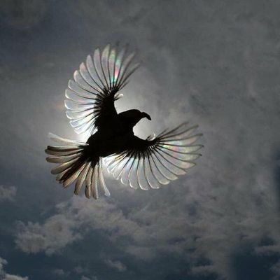 Vefa40007255's profile picture. 7.6 da bile kaderimiz ayrılmadı..👨‍👩‍👦🌹🌹