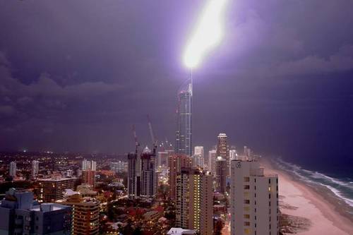 Carol Teslas Profile