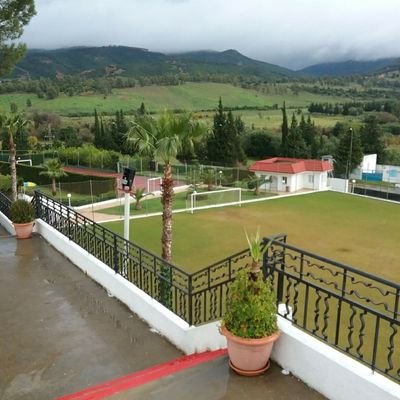 atef_lasour's profile picture. 