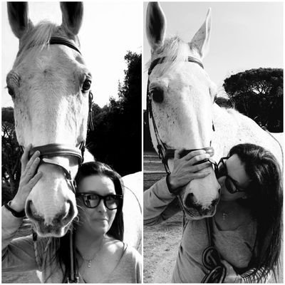 ddncst's profile picture. .