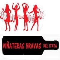 Viñateras Bravas CHILE 2️⃣(@vinaterasbrava) 's Twitter Profile Photo