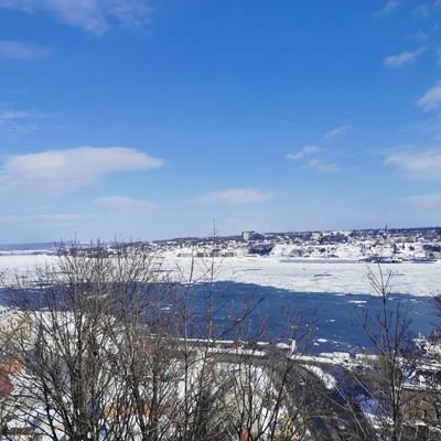 searchmyname12's profile picture. 