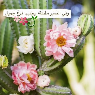 لا اله الا الله