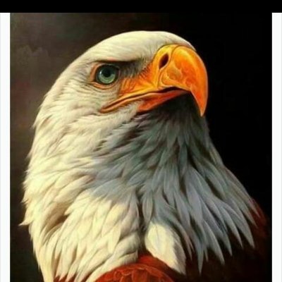 omarboj5's profile picture. 