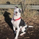 Katie Estes - @kittykattkatte - Twitter