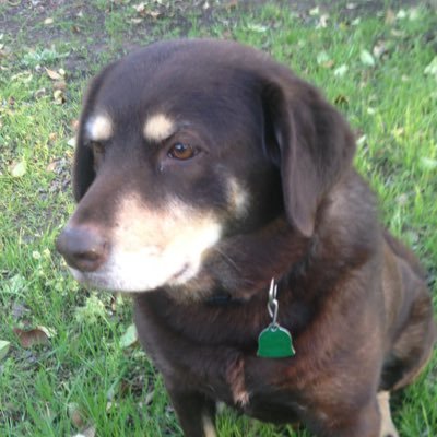 tillie34587703's profile picture. I WILL BE CHANGING MY NAME/hope u will follow me 🙏🏻🇺🇸🙏🏻