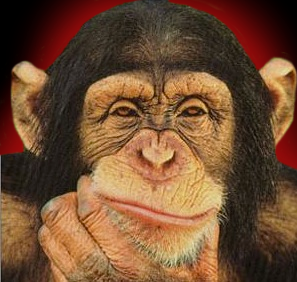 MonkeyTalk101's profile picture. Check out my Blog! Evolution is TRUE!