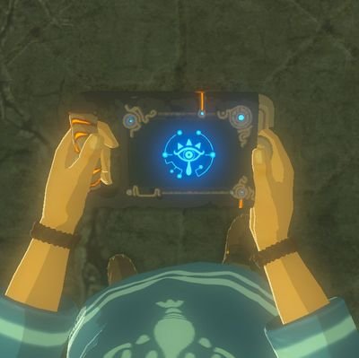 Portraits from Hyrule. Captures by a wandering pictographer who once made it rain.