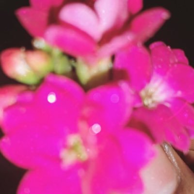 خبيرة تذوق القهوة