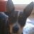 duncanley's profile image