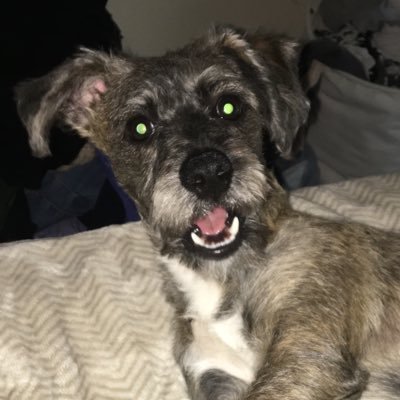 mpazmahillo's profile picture. esperando para tomar un café con leche