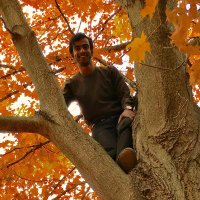 Sujay Jayakar (@sujayakar314) 's Twitter Profile Photo Sujay Jayakar (@sujayakar314) 's Twitter Profile Photo