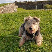 Lynda (@lyndacollins) 's Twitter Profile Photo