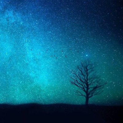 Jessie7851's profile picture. 