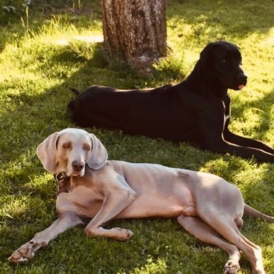 Mutter, Mensch, Märchenprinzessin mit mäßigem Humor - mag Meer #forpeople
