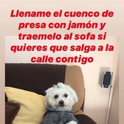 Iff73152272's profile picture. The drawings are mine, sorry for the low resolution of the drawings. I still work on how to improve it.😼