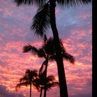 milisina's profile picture. 