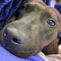 We Just Did - #46 (@ang08362318) 's Twitter Profile