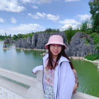Haiyan Li (@haiyanli16) 's Twitter Profile