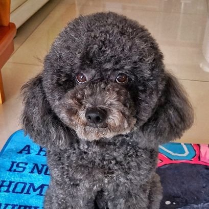 tsaoyung's profile picture. 