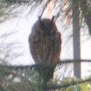 E.L.K. - @ErnestLloydKahn - Twitter