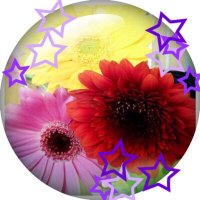 くまりん@MCZ💎4&sekainoowari (@pinkyfish2013) 's Twitter Profile Photo くまりん@MCZ💎4&sekainoowari (@pinkyfish2013) 's Twitter Profile Photo