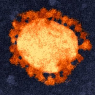 Pandemic_Times Profile Picture