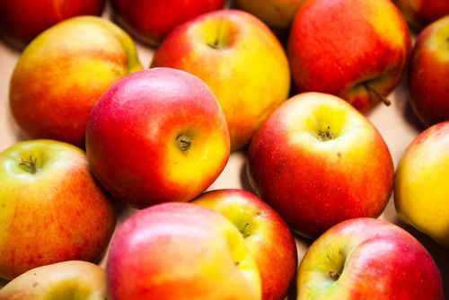 smakelijkestad's profile picture. * inactief profiel * Smakelijk Duurzame Stad | Inspirerend Magazine | Duurzaam Voedselbeleid | Voedselstrategie