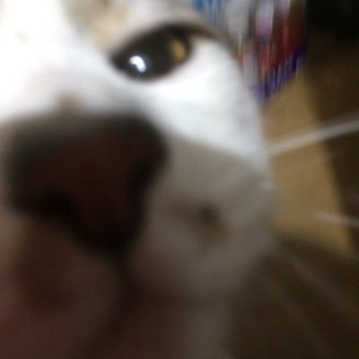 成り上がり準備中/賃管、宅建💮/釣り好き/もっこす大家の会No.123/クワガタブリード中
