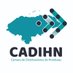 CADIHN (@cadihn) Twitter profile photo CADIHN (@cadihn) Twitter profile photo