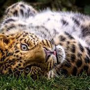 EagleAg1111's profile picture. in a relationship