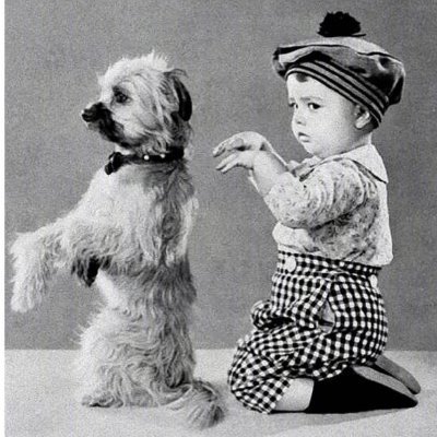 songhaiming's profile picture. 