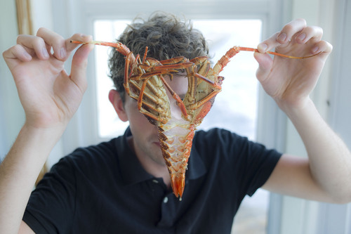 JonasIhle's profile picture. 