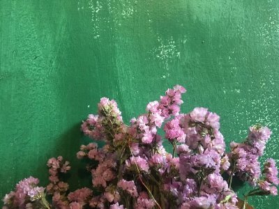 17Fm5's profile picture. 