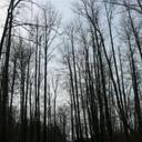 Cynthia Bohn - @CynRB - Twitter