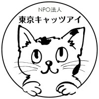 東京キャッツアイ (@tokyocatseye) 's Twitter Profile Photo 東京キャッツアイ (@tokyocatseye) 's Twitter Profile Photo