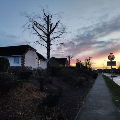 shit_tree's profile picture. A celebration of the butchery imposed on our greatest living assets. Perpetrated by fools and clowns..........😭