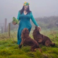 Noeleen Dooley (@noeleen_dooley) 's Twitter Profile