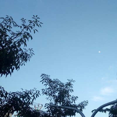 muthukumaranseo's profile picture. Name:Muthukumaran