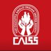 CAISS India (@caiss_india) Twitter profile photo CAISS India (@caiss_india) Twitter profile photo