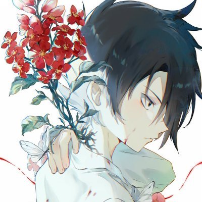 H Profile