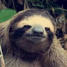 KaupLukas's profile picture. ich schau mich hier nur um...