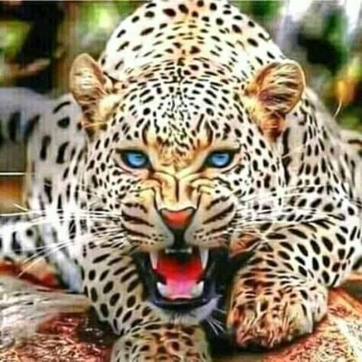 Tshepi40875065's profile picture. Tshepi