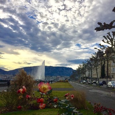 GmurHelen's profile picture. 15 years London 🇬🇧 Home🇨🇭Other times will come again 🇨🇭🏔 ❤️Impossibly proud mom🏊‍♀️🚴‍♀️🏃‍♀️🎿🍦☕️Kirschstängeli & Zopf🇨🇭Views my own. Retweet’s not