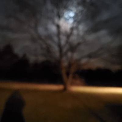 gretchlong's profile picture. 