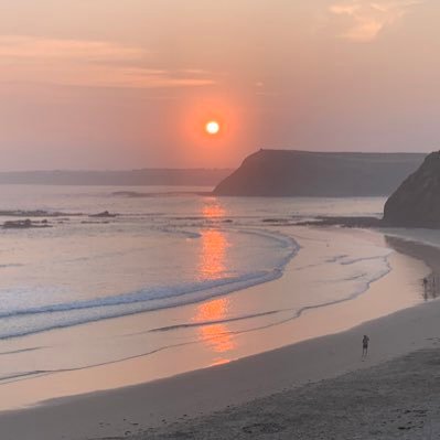 TigerLikea's profile picture. 