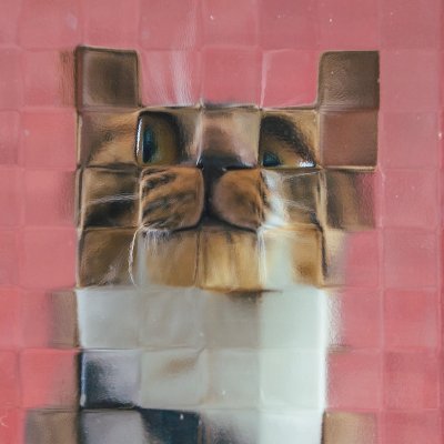 redqoo018's profile picture. 