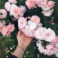 KawtherAlssyed (@kawtharalsayeed) Twitter profile photo