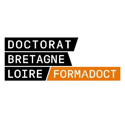 FORMation A distance en information DOCumentation pour les docTorants #thèse #phd #doctorat #OA #guides