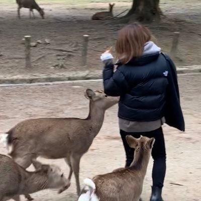 ゆきちさんのプロフィール画像